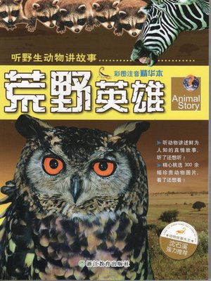 cover image of 荒野英雄(The Wild Hero)